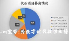 探索Token.im宽带：为数字时