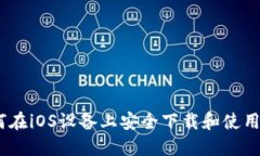 全面指南：如何在iOS设备
