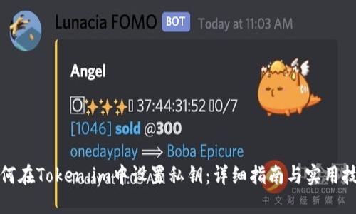 如何在Token.im中设置私钥：详细指南与实用技巧
