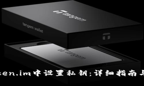 如何在Token.im中设置私钥：详细指南与实用技巧