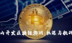 如何在国内开发区块链游
