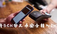 全面解析：如何将BCH分叉