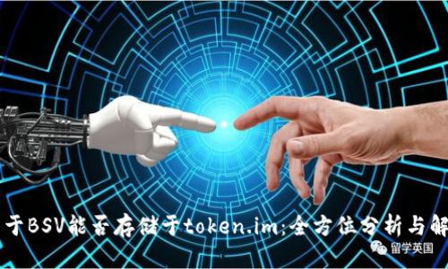 关于BSV能否存储于token.im：全方位分析与解答