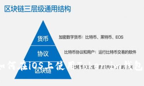 全面解析：如何在iOS上使用Token.im钱包的详细教程