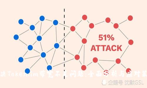 解决Token.im带宽不足问题：全面分析与应对策略
