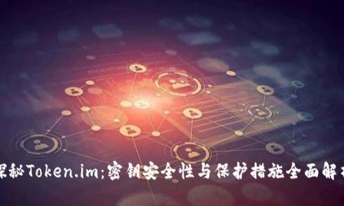 探秘Token.im：密钥安全性与保护措施全面解析