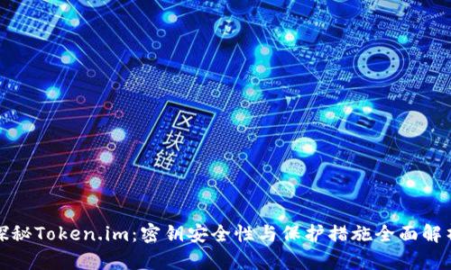 探秘Token.im：密钥安全性与保护措施全面解析