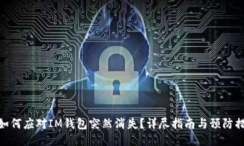 : 如何应对IM钱包突然消失？详尽指南与预防措施