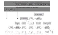 如何将Token.im钱包中的数字