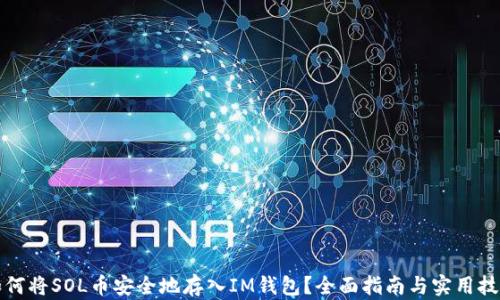 
如何将SOL币安全地存入IM钱包？全面指南与实用技巧
