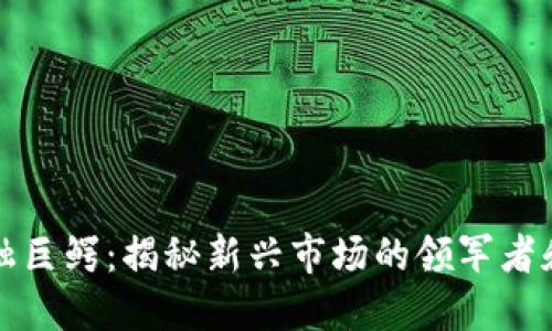 区块链金融巨鳄：揭秘新兴市场的领军者和投资机遇