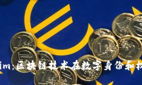 深入了解Token.im：区块链技术在数字身份和权益管理中的应用