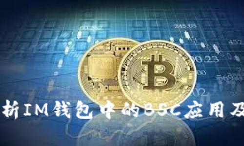 深入解析IM钱包中的BSC应用及其潜力