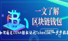 如何通过LUNA轻松访问Tok