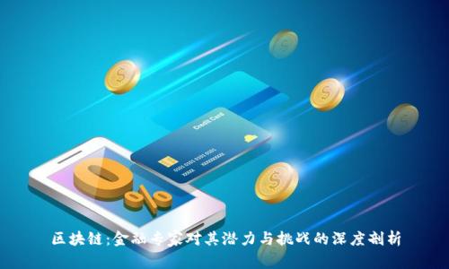 区块链：金融专家对其潜力与挑战的深度剖析