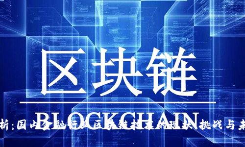 深入解析：国内金融行业区块链技术的现状、挑战与未来发展