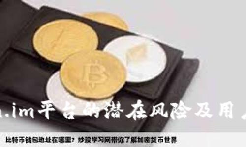 深入探讨Token.im平台的潜在风险及用户安全保护措施