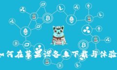 深度解析：如何在苹果设备上下载与体验区块链