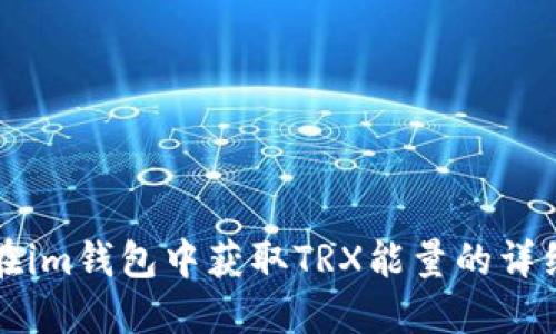 如何在im钱包中获取TRX能量的详细指南