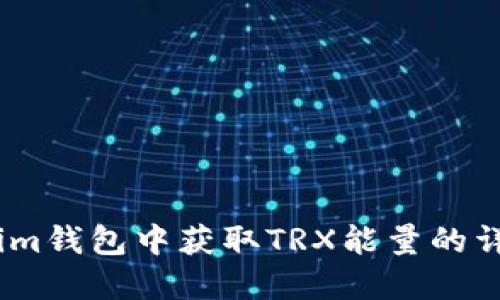 如何在im钱包中获取TRX能量的详细指南