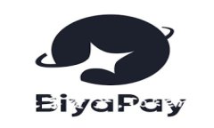 在桌面端体验加密数字资