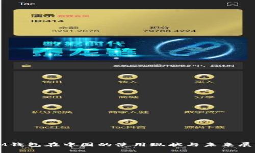 IM钱包在中国的使用现状与未来展望