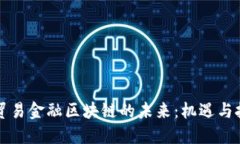 深圳市贸易金融区块链的未来：机遇与挑战详解