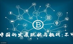 区块链金融在中国的发展现状与挑战：不可行的