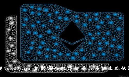 全面了解Token.im：支持哪些数字货币与多链生态的深度解析