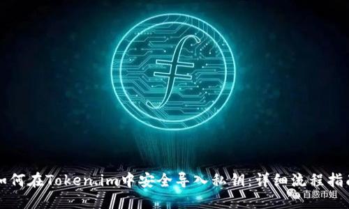 如何在Token.im中安全导入私钥：详细流程指南