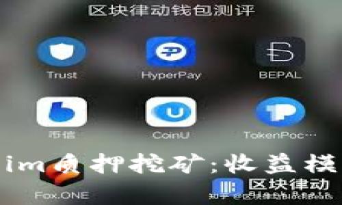 biasoti深度解析Token.im质押挖矿：收益模式、风险分析与未来前景